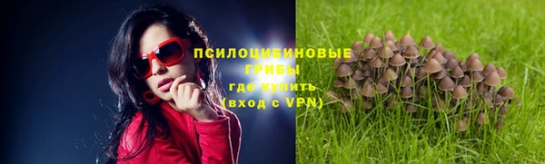 ПСИЛОЦИБИНОВЫЕ ГРИБЫ Медногорск