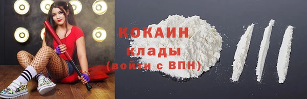 шишки Медвежьегорск