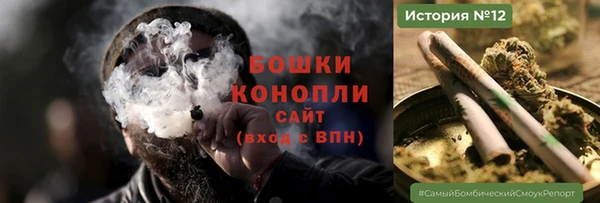 шишки Медвежьегорск
