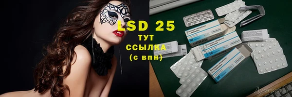 шишки Медвежьегорск