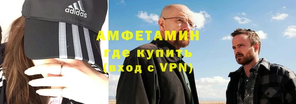 шишки Медвежьегорск