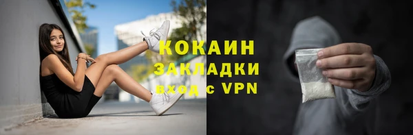 шишки Медвежьегорск