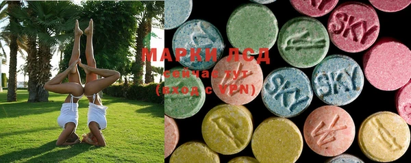 амф Магас