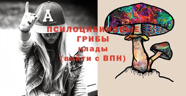 PSILOCYBIN Мегион