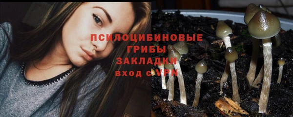 амф Магас