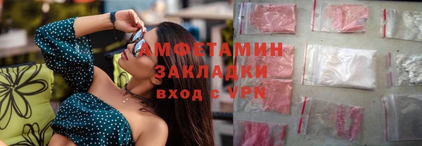 шишки Медвежьегорск