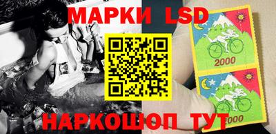 прущие грибы Заводоуковск