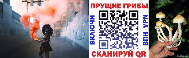 Галлюциногенные грибы мицелий купить наркотик Новоуральск