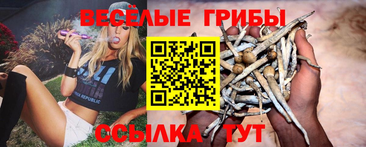 дарнет шоп  Вход с VPN  Новоуральск  Галлюциногенные грибы MAGIC MUSHROOMS 
